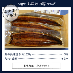 鰻 の 長蒲焼き 3尾 詰合せ (a29-002)