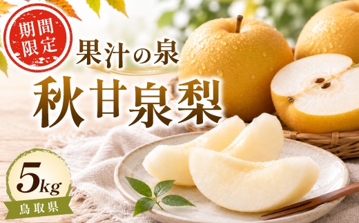 鳥取県産 秋甘泉梨　5kg