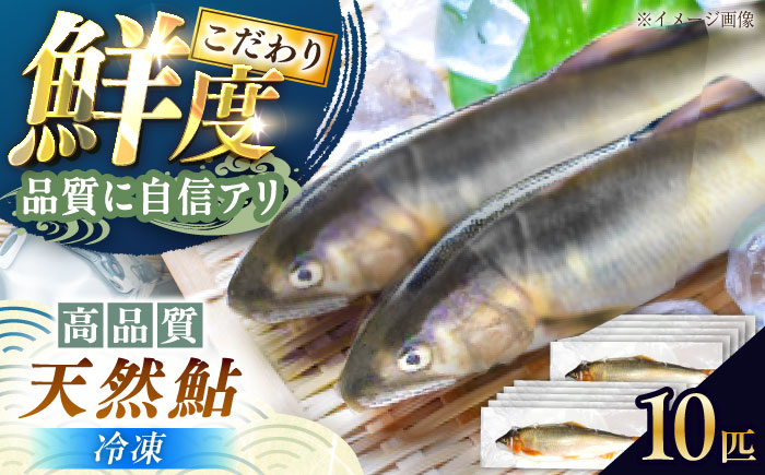 ＜冷凍＞天然あゆ 19～22cm 10匹入り（1キロ） / あゆ 天然 鮎 冷凍 / 恵那市 / 恵那物産館 [AUFS008]