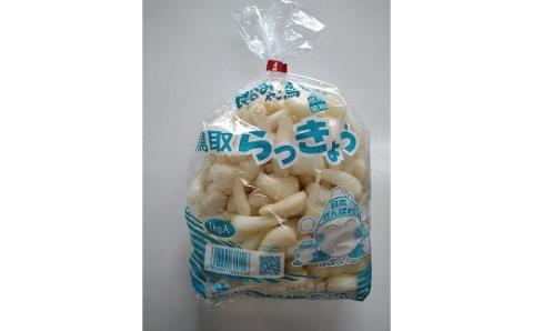 【先行予約】【ＪＡ】洗いらっきょう　秀Ｍ・1kg×5袋 ※着日指定不可 ※離島への配送不可 ※2025年5月下旬頃～6月初旬頃に順次発送予定