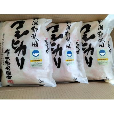 ふるさと納税 新発田市 【令和6年産】特別栽培米コシヒカリ　精米(2kg×3袋) |  | 01
