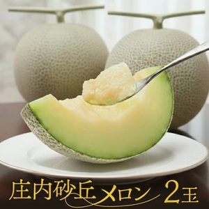 SB0891　庄内砂丘メロン(青肉) 2玉 2.6kg以上 つる付き