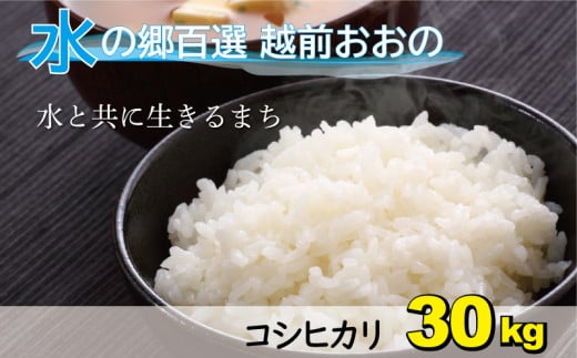 【令和7年産】こしひかり（福井県大野市産）エコファーマー米（白米）30kg（5kg×6袋）