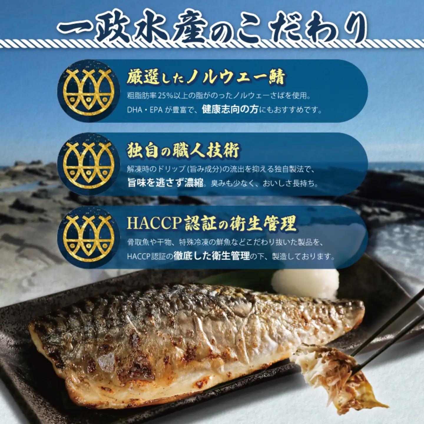 訳あり 骨取り 国産 塩鯖 15枚