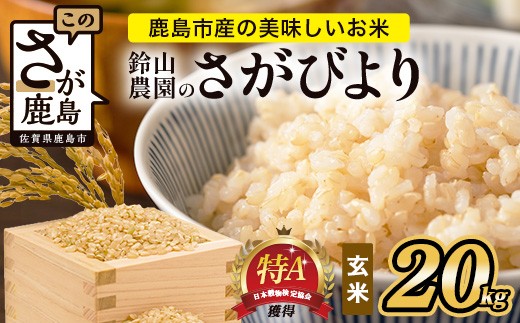 鈴山農園こだわり さがびより 玄米 20kg（10kg×2袋） F-90 佐賀県 鹿島市 お米 ブランド米
