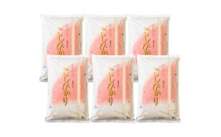 No.1502【令和6年産 新米先行受付】大文字屋米穀店【定期便6回】コシヒカリ 5kg 精米（6か月連続お届け）