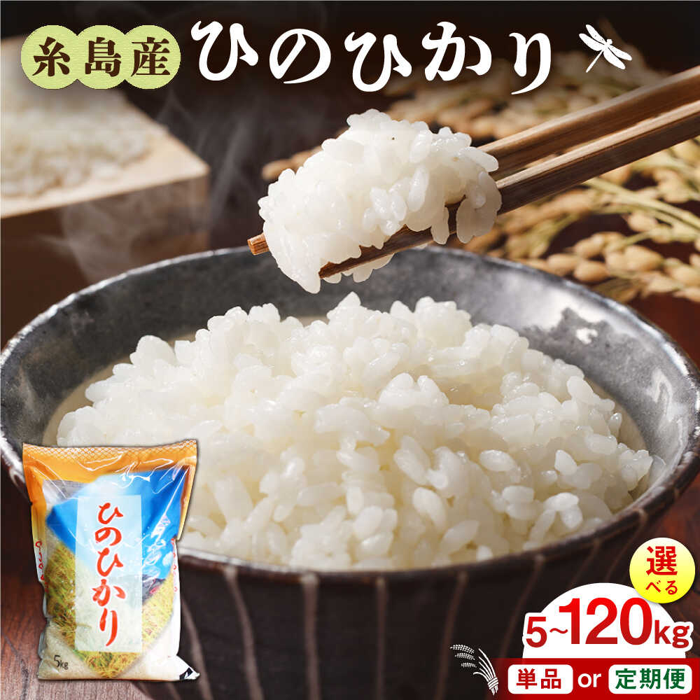 【ふるさと納税】糸島産 ひのひかり 5kg/10kg/20kg 選べるキロ数とお届け回数 糸島市 / 三島商店 [AIM004] 白米 定期便 15000 1万5千円