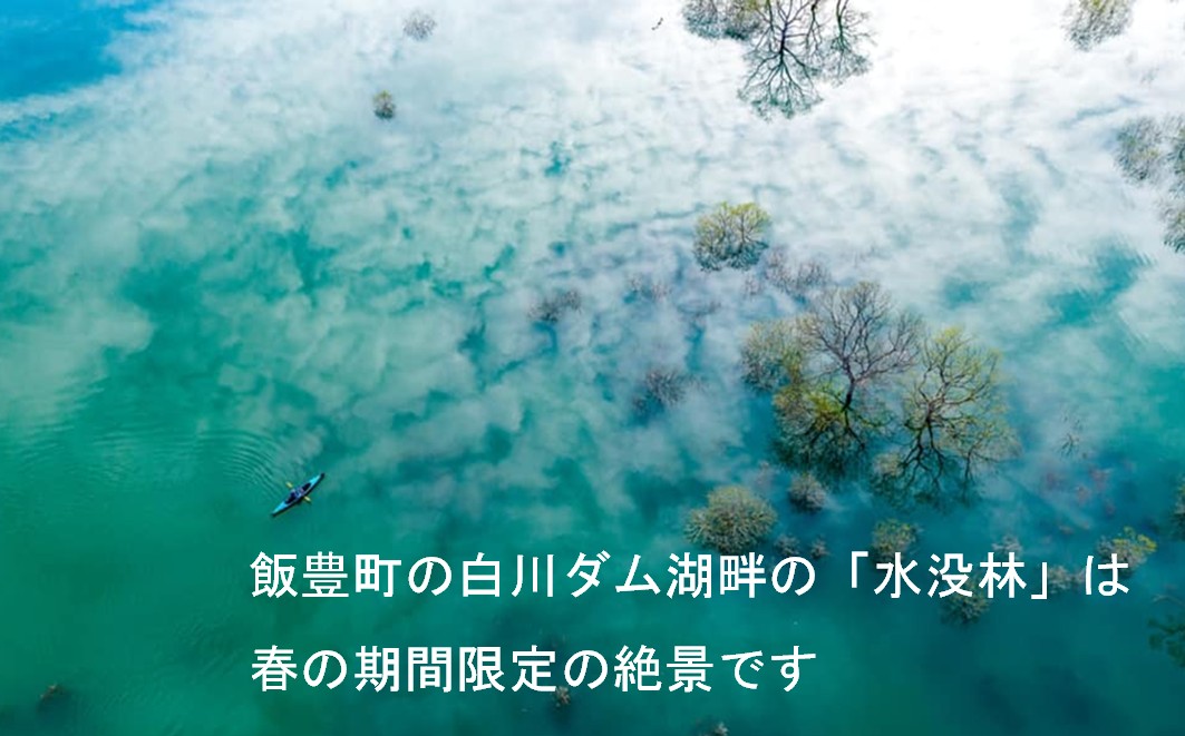 絶景 水没林カヌーツアー（2名様）癒しの自然満喫プレミアムアクティビティ 【フォトジェニックスポット】※3月下旬から5月下旬　