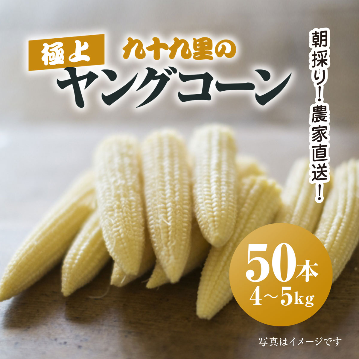 【ふるさと納税】【先行予約】【6月上旬より発送】朝採り!農家直送! 九十九里の極上ヤングコーン50本/ ヤングコーン やんぐこーん コーン シャキシャキ サラダ スープ 新鮮 九十九里浜 朝採り 農家直送 千葉県 千葉県山武市 SMBU004