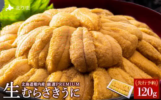 【先行予約】【厳選PREMIUM】美味しいウニは昆布の名産地にあり!生むらさきうに120g