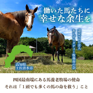 引退馬 余生支援 1,000,000円コース 返礼品なし 養老馬 競走馬 引退競走馬 馬支援 競馬 馬 うま ウマ 馬支援 動物 あしずりダディー牧場 高知県 土佐清水市【R01533】