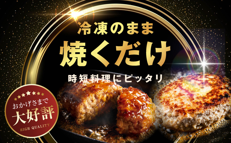 黒毛和牛100％ 極み生ハンバーグ（180g）×10個 CFX0027