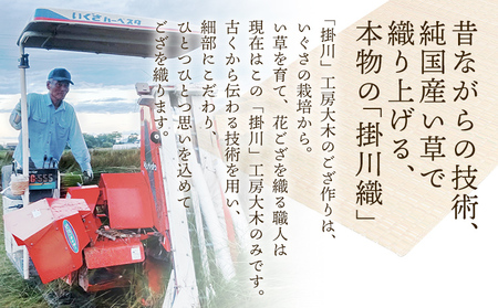 純国産天然いぐさ「掛川 虹」2畳 （黒色）純国産 いぐさ い草 天然 自家生産 掛川 ラグ BG023