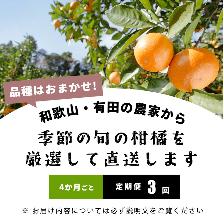 【定期便/4か月ごと/全3回】厳選・和歌山の季節の柑橘5kg農家直送フルーツ定期便 | 有田 みかん 蜜柑 オレンジ 八朔 せとか ポンカン セミノール バレンシア いよかん 不知火 ※北海道・沖縄・離島への配送不可