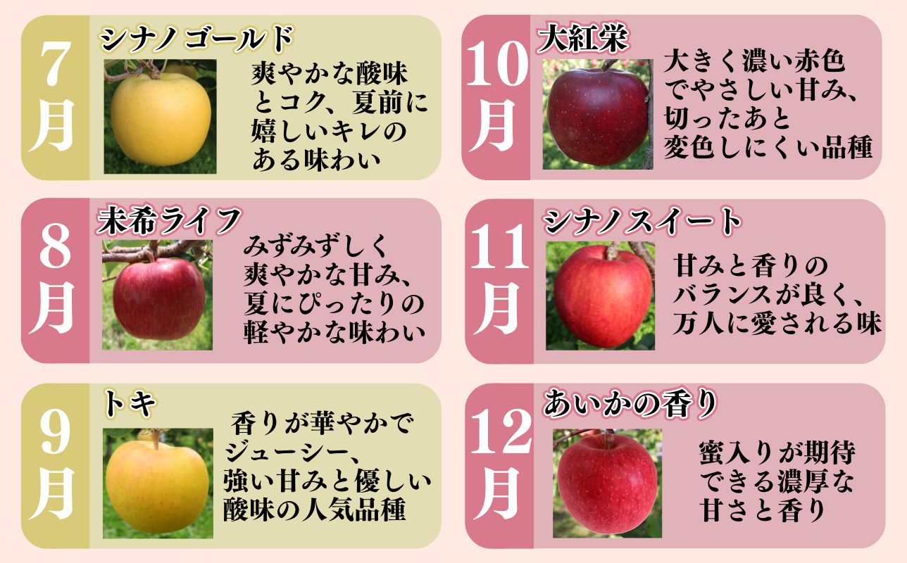 【2027年1月発送開始】青森県産 りんご 12ヶ月定期便 約3kg 特選 1年間品種リレー 食べ比べセット 毎月配送 青森りんご 林檎 フルーツ 平川市