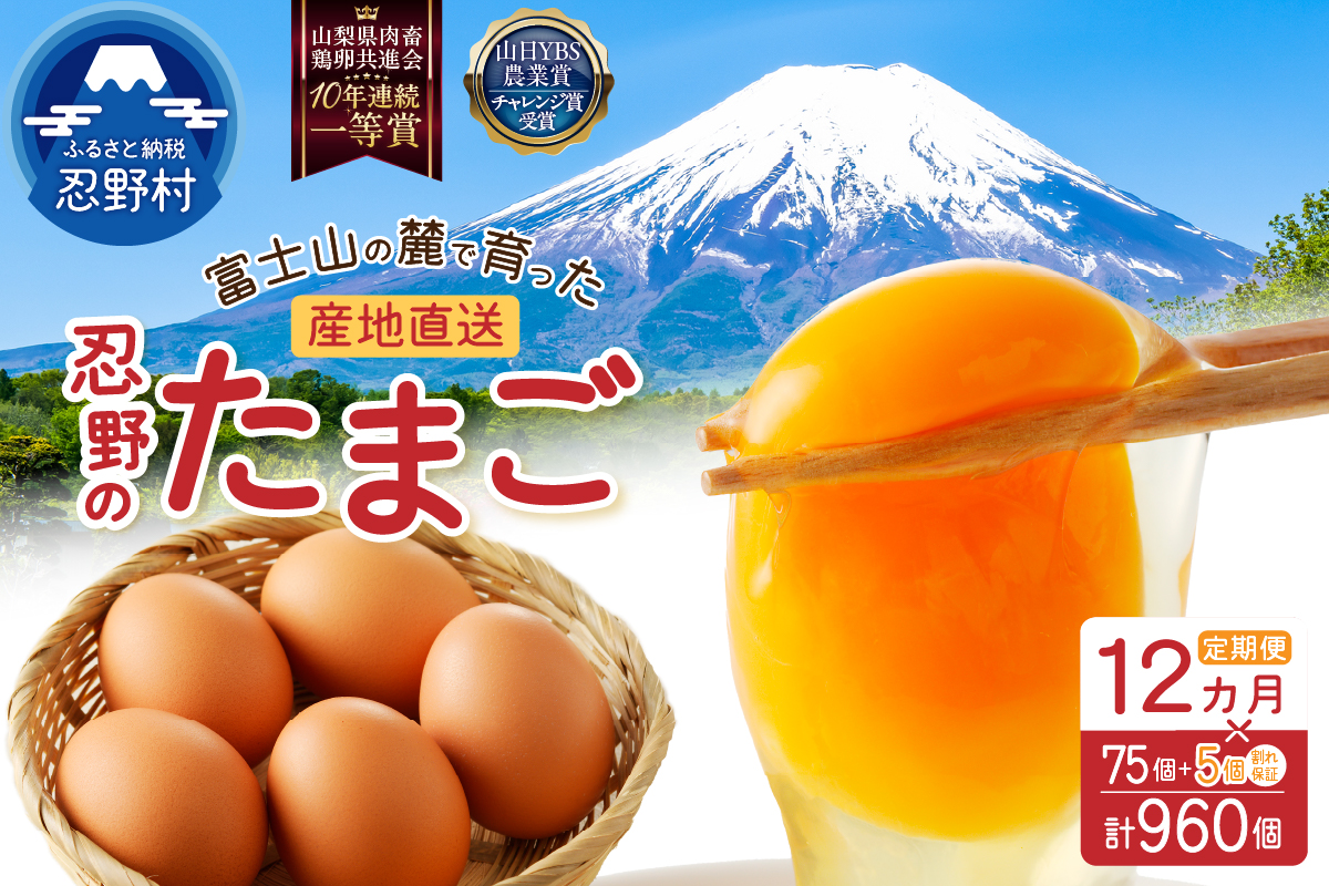 【12ヶ月定期便】富士山の麓で育った産地直送 ”忍野の卵”※卵75個+割れ保証5個　計960個