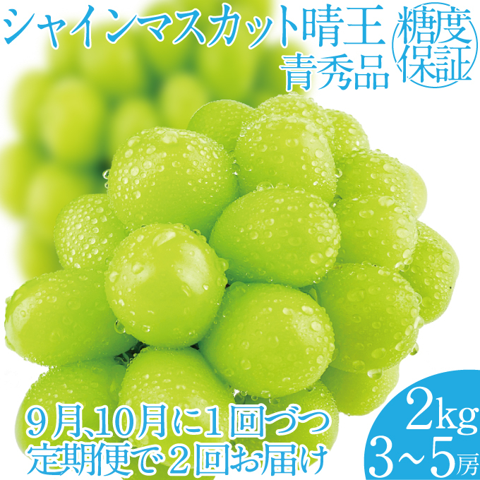 
                  2026年 先行予約【2回定期便】シャインマスカット晴王約2kg(3～5房) 岡山県産 種無し 皮ごと食べる みずみずしい 甘い フレッシュ 瀬戸内 晴れの国 おかやま 果物大国 ハレノフルーツ9月10月お届け
                