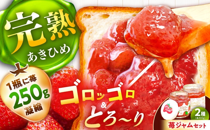
            苺ジャム2種セット / いちご 苺 イチゴ あきひめ 国産 イチゴジャム ジャム 栄養 効果 美味しい 瓶詰め ギフト 贈答 プレゼント パン トースト 朝食 ヨーグルト アレンジ / 恵那市 / 阿部農園 [AUGA004]
          