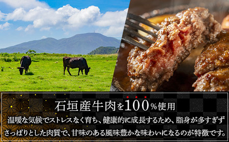 【2025年12月発送】石垣産経産牛ハンバーグ150g×6/箱