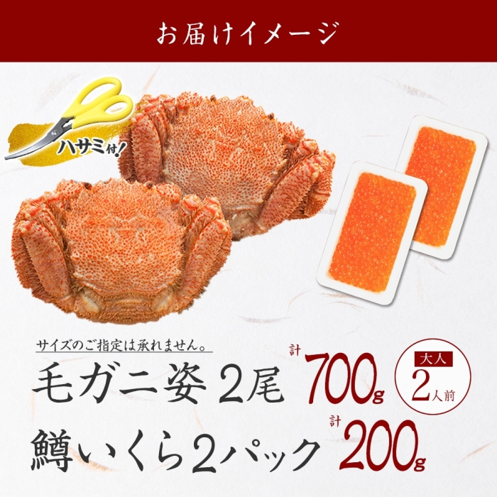 2457. 毛蟹 2尾 計700g前後 鱒いくら醤油漬け 200g 専用ハサミ・食べ方ガイド付き 毛ガニ 毛がに 蟹 カニ  鱒 いくら 醤油漬け ボイル 北海道 弟子屈町_イメージ5