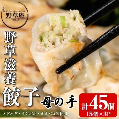 ふるさと納税 伊佐市 野草滋養餃子「母の手」(計45個・15個×3P)