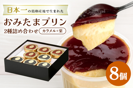 おみたまプリン2種詰合せ 8個入り カラメル＆栗 贈答用黒箱 プリン 国産 茨城 8-T
