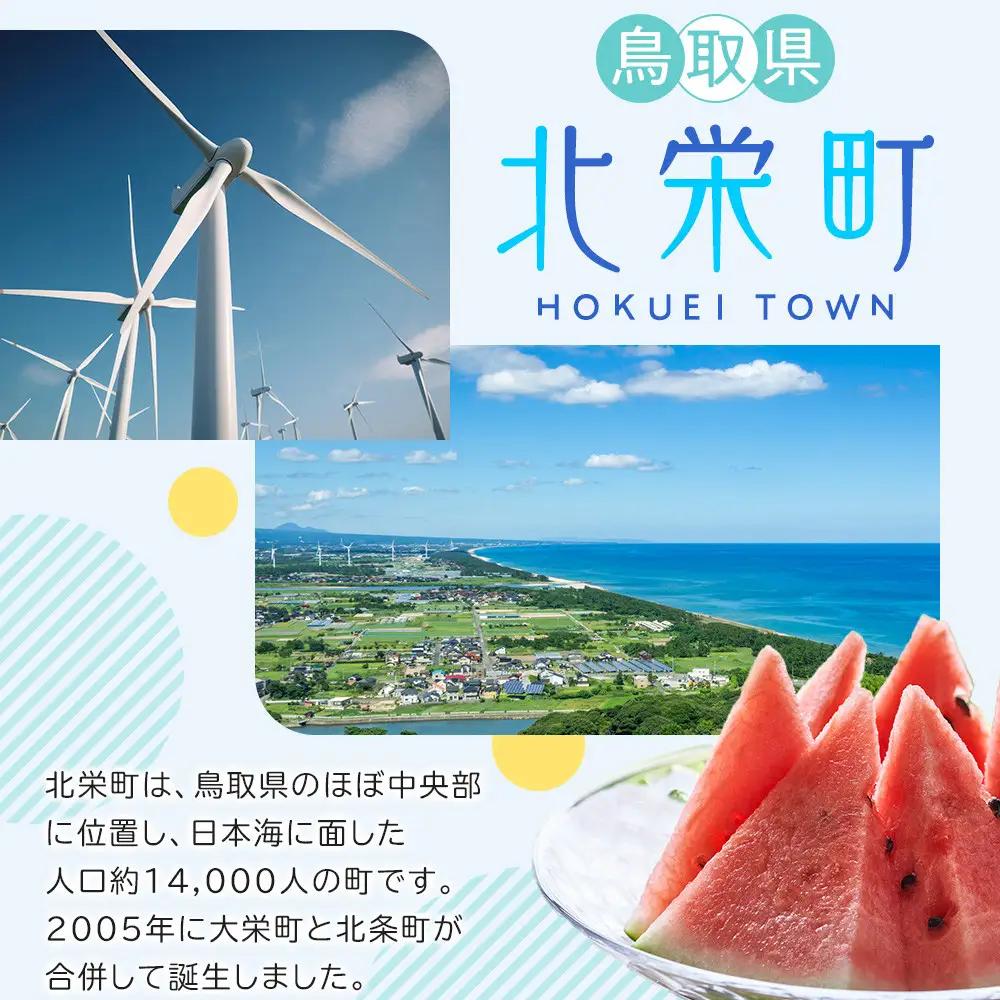 王秋梨 3kg JA ※2026年10月下旬～11月下旬頃に順次発送予定 |梨