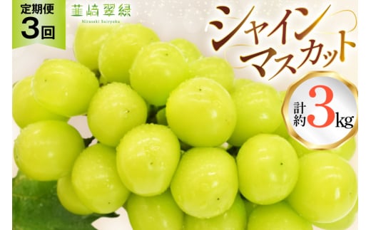 【2025年発送！先行予約！】韮崎翠緑セレクト！シャインマスカット定期便 約1.0kg×3回 NS-1020 [韮崎翠緑 山梨県 韮崎市 20744987] シャインマスカット シャイン マスカット ぶどう ブドウ 葡萄 マスカット 種なし 果物 フルーツ 山梨県産