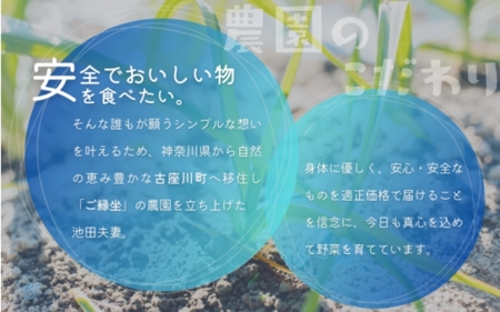 古座川町の恵みが育んだ ご縁座の乾燥にんにく 200g / にんにく 乾燥にんにく ガーリック【gnz106】