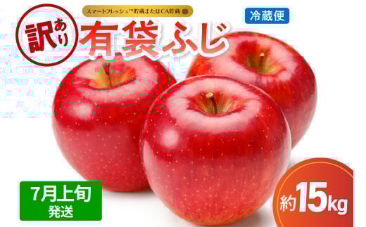 【2025年7月上旬発送】【訳あり】りんご15kg有袋ふじ【スマートフレッシュTM貯蔵またはCA貯蔵・クール便】