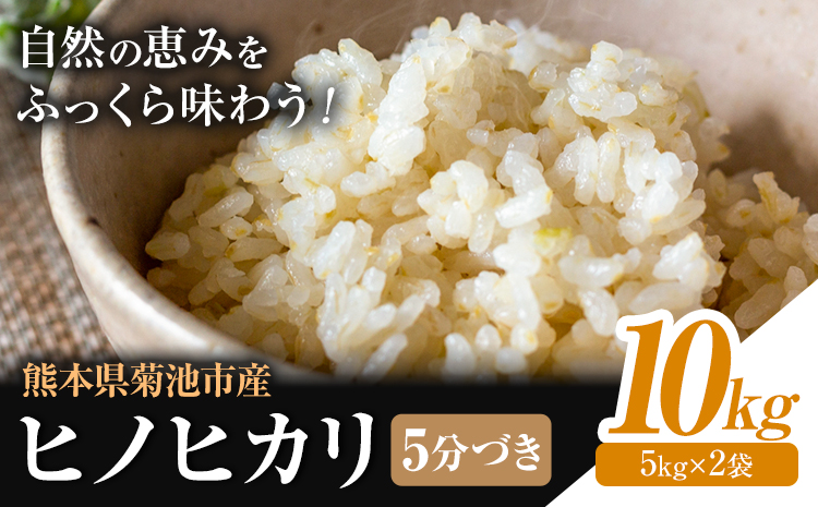 米 ヒノヒカリ 5分づき 10kg 内容量 1袋 5kg 合同会社くまもとごはん 《30日以内に出荷予定(土日祝除く)》 熊本県 菊池市 お米 分づき米 九州産 熊本県産 白米 無洗米 ひのひかり 送料無料---026-0523---