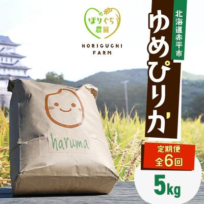 ふるさと納税 赤平市 【発送月固定定期便】ほりぐち農園直送のお米 精米したてゆめぴりか　5kg全6回