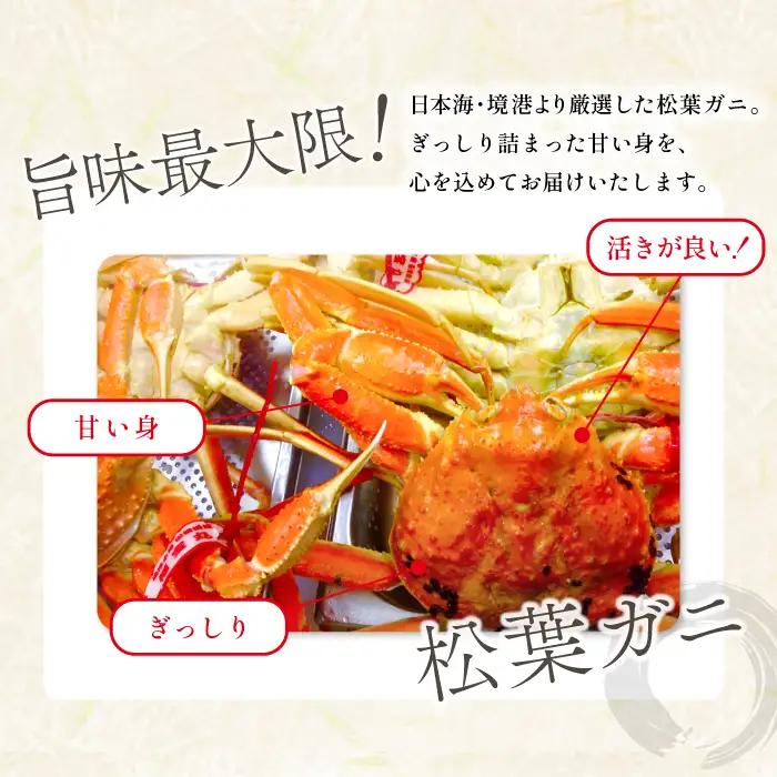 【蒸し】タグ付き松葉ガニ 中 2枚【松葉ガニ 松葉がに 松葉蟹 まつばがに かに カニ 冷蔵 チルド ブランド ズワイガニ 蒸し ボイル タグ付き 国産 季節限定 お取り寄せ お祝い 鳥取県 日吉津村