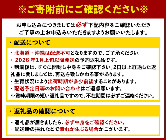 ＜先行予約受付中！2026年1月上旬以降順次発送予定＞ 福岡県産 あまおう (計1kg・250g×4パック) いちご イチゴ 苺 ストロベリー 果物 フルーツ おやつ デザート スイーツ 福岡県 小分