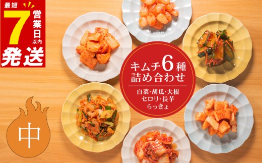 中辛 キムチ 6種 詰め合わせ 食べ比べ 小分け 白菜 長芋 胡瓜 大根 セロリ らっきょ アソート バラエティーセット ごはんのお供 ピリ辛 お米 ごはん ビール 酒 おつまみ 漬物 北海道 昆布 国産 りんご 桃 果物 魚 海鮮 野菜 BBQ 焼肉 惣菜 キムチ鍋 キムチチャーハン お試し 大阪府 松原市