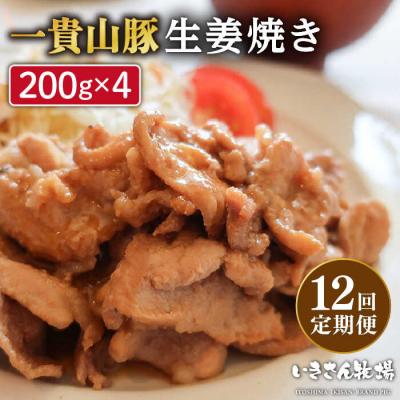 ふるさと納税 糸島市 【全12回定期便】焼くだけ定番おかず!一貴山豚 生姜焼き 4パック/いきさん牧場 [AGB018]