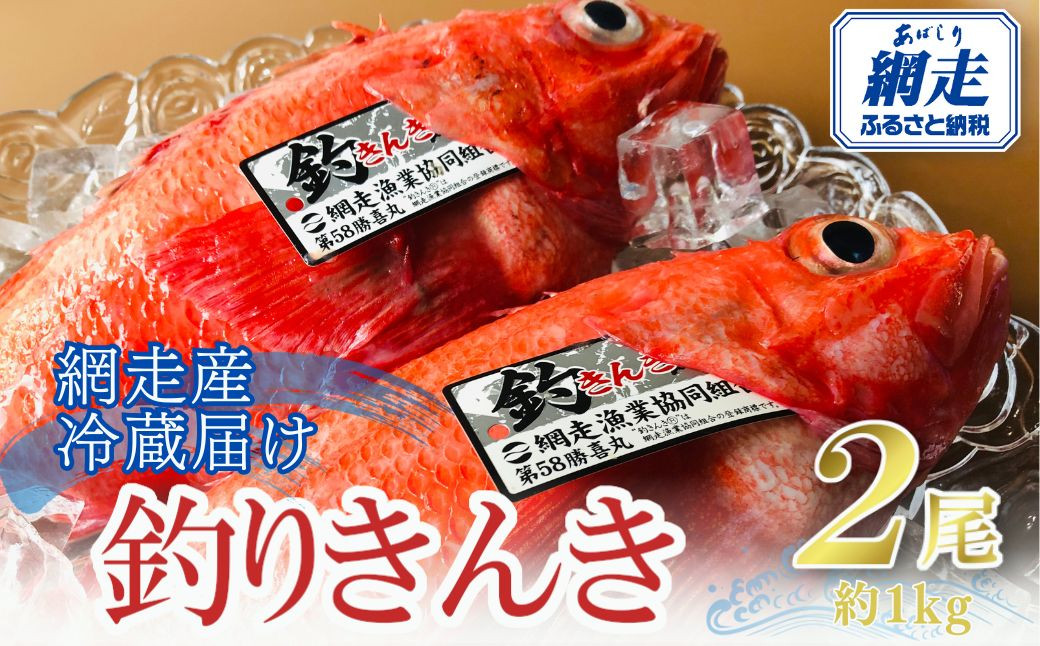 
            網走産釣りキンキ2尾で約1kg 冷蔵届け【 ふるさと納税 人気 おすすめ ランキング 釣りきんき きんき キンキ 釣キンキ 網走産 北海道産 2尾 1.2kg 冷蔵 オホーツク 北海道 網走市 送料無料 】 ABAO116
          