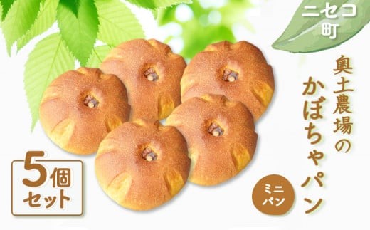 
                  かぼちゃパン ミニパン 5個 セット | 自家製酵母 オンライン 申請 ふるさと納税 北海道 ニセコ かぼちゃ パン ぱん 美味しいパン 優しい甘み 朝食 朝ごはん 道産小麦 冷凍パン 奥土農場 ニセコ町【42023AA0101】
                