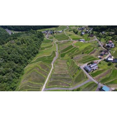 ふるさと納税 福知山市 毛原の棚田サポーター制度　お気持ちコース |  | 03