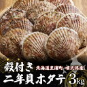 【ふるさと納税】北海道 豊浦町 殻付き 2年貝 活ホタテ 約3kg【 ふるさと納税 人気 おすすめ ランキング 魚介類 貝 帆立 ホタテ ほたて 噴火湾 殻付き 二年貝 おいしい 美味しい 北海道 豊浦町 送料無料 】TYUP001