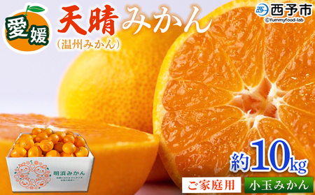 ＜愛媛県明浜産 天晴みかん（温州みかん）約10kg 小玉サイズ＞ 家庭用 訳あり ワケアリ 果物 くだもの フルーツ ミカン 柑橘 特産品 笑丸 愛媛県 西予市【常温】『2026年11月中旬～2027年1月上旬迄に順次出荷予定』AAN0065