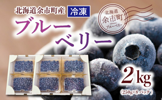 
【数量限定】冷凍ブルーベリー 250g×4パック×2箱 北海道産　甘くてジューシー 余市産 ブルーベリー 250g × 4パック × 2箱 合計 2kg 冷凍 北海道産 国産 高い栄養価 抗酸化作用 高血圧予防 フルーツ 果物 小分け パック スムージー ジュース バラ詰め ( 大 ･ 中 ･ 小 ) 不揃い お取り寄せ 北海道 余市町 送料無料
