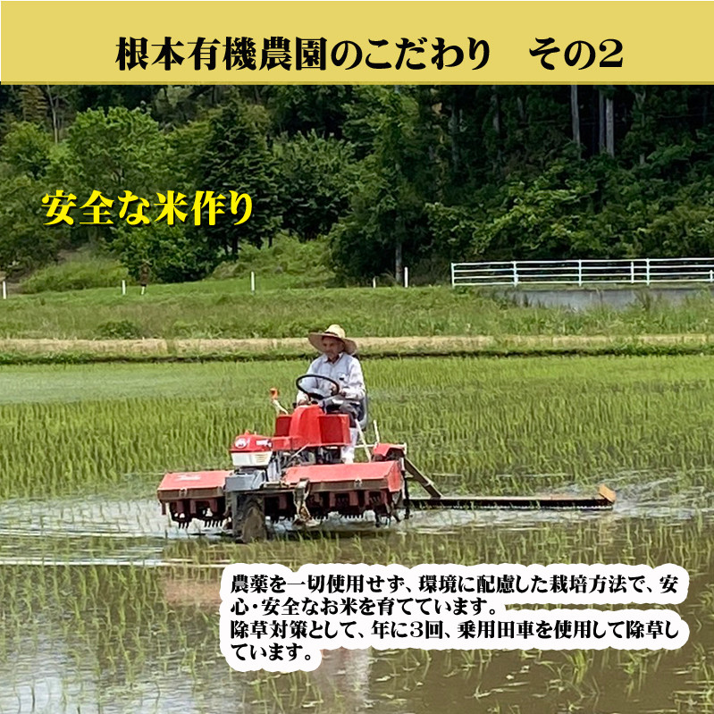 【令和6年産】南相馬・根本有機農園のJAS有機米天のつぶ5kg（白米）
