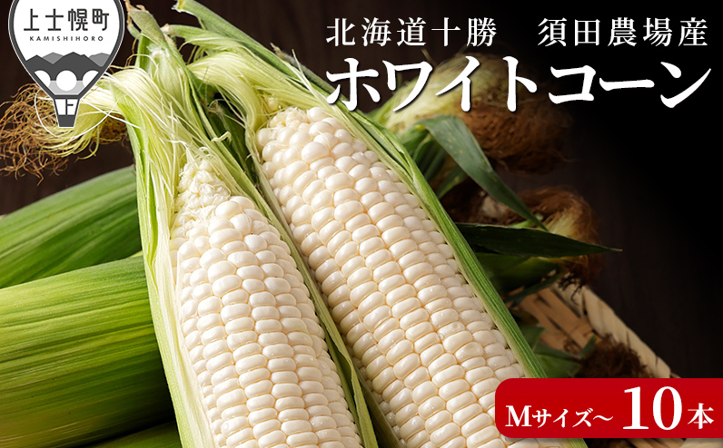 北海道産ホワイトコーン 計10本 上士幌町須田農場 白いスイートコーン とうもろこし 野菜 冷蔵便 ◆2025年08月配送予定