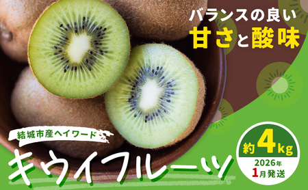 キウイフルーツ4kg《2026年1月上旬-1月末頃出荷》キウイキウイキウイキウイ