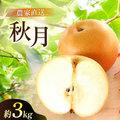 あきづき 梨 3kg 6～10玉 【2026年収穫分】かすみがうら市【配送不可地域：離島・沖縄県】