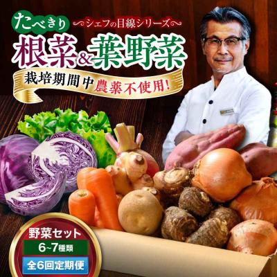 ふるさと納税 大洲市 【全6回定期便】  根菜×葉野菜 6から7種 単身・二人暮らし用セット [AGBX053]