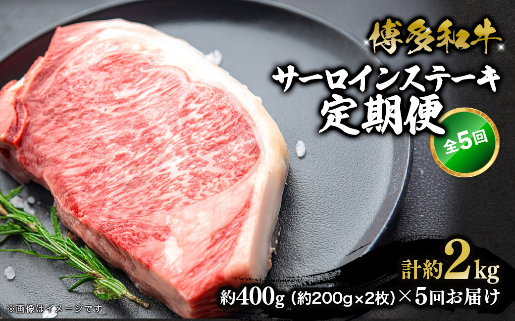 博多和牛 サーロインステーキ 定期便全3回 肉 お肉 和牛 牛肉 焼肉 ステーキ BBQ バーべキュー