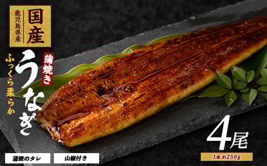 
【鹿児島県産】うなぎ蒲焼じっくり焼き約250g×4尾 木目化粧箱入り(大新/038-1108) 鰻 蒲焼 国産 丑の日 うな重 無頭 ギフト ふっくら 小分け レンジ 簡単
