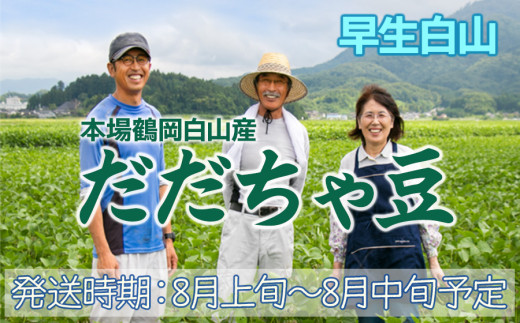 【令和9年産先行予約】本場鶴岡市白山産 冨樫藤左エ門のだだちゃ豆(早生白山) 1.2kg  (300g×4袋)　K-933 | 枝豆 無農薬 茶豆 東北 野菜 特産品 名産品